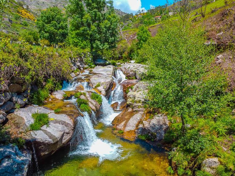 Casa Do Castelo- Serra Da Estrela Covilha Bagian luar foto